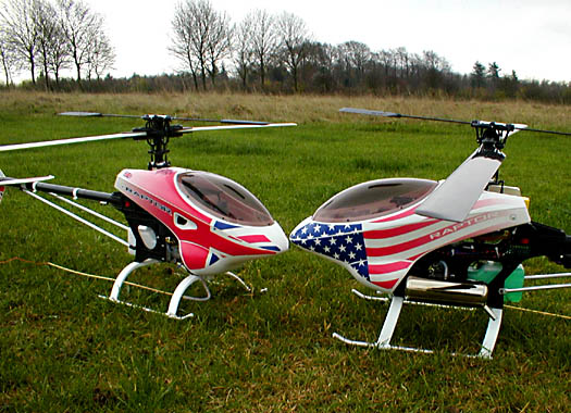 Raptor rc clearance helicopter